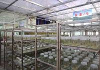 甘肃平凉加快延链补链强链，现代产业体系加快构建