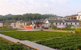 統籌城鄉規劃，推動綠色建筑發展