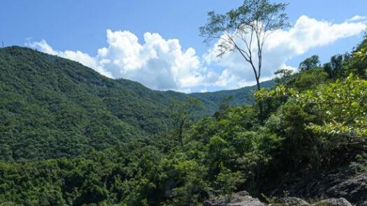 “海南热带雨林国家公园文化研究”课题近日启动