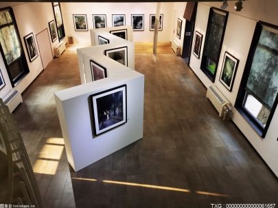 中国画五人跨年邀请展在沈阳日报美术馆开幕  吸引众多观众前来观看