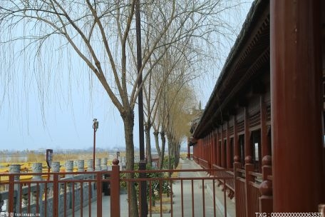 北京海淀区圆明园遗址公园冰场、雪场因内部调整暂时关闭