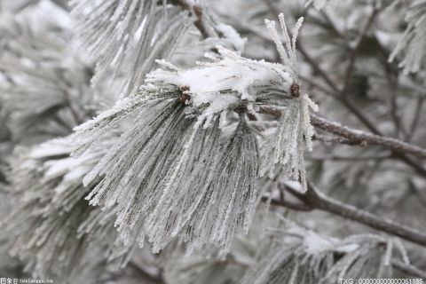 预计13日至14日湖北省将出现一次雨雪天气 降温3℃至5℃注意保暖