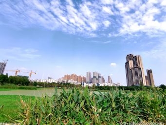 湖北省武汉市三家湿地公园通过国家湿地公园验收的单位被正式授牌