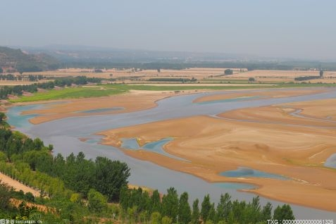 天津武清区开展生态补水 向大黄堡湿地补水8000万立方米
