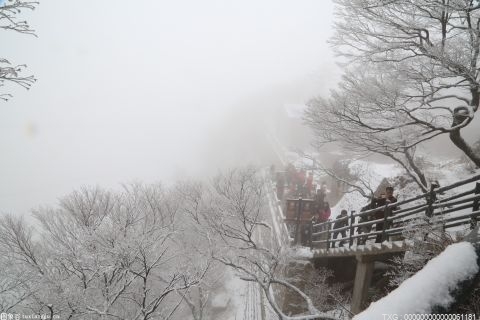 大雪过后北京市属公园变成粉妆玉砌的童话世界！