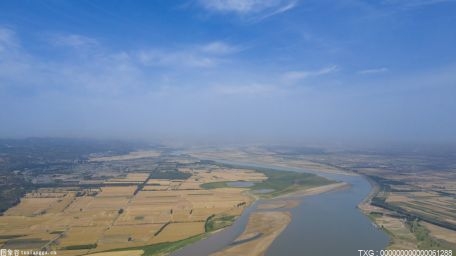 国网菏泽供电公司：智能化种植助力黄河流域的特色农业产业振兴