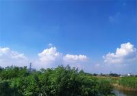 河南加压推进河湖长制 河湖生态面貌得到持续提升