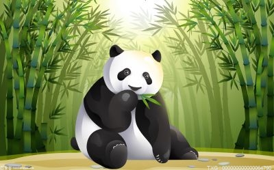 大熊猫刚出生时皮肤是什么颜色的？大熊猫有没有冬眠的行为？