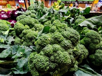 绿色有机食品是什么意思？绿色食品和有机食品的区别在哪里？